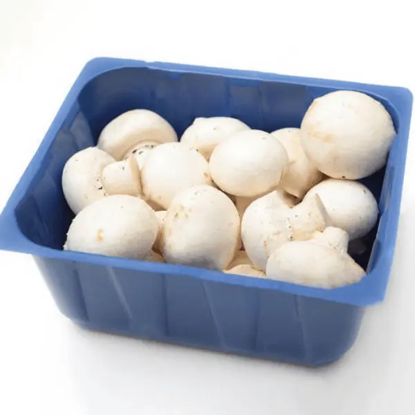 [Band] Bandejita de Champiñones